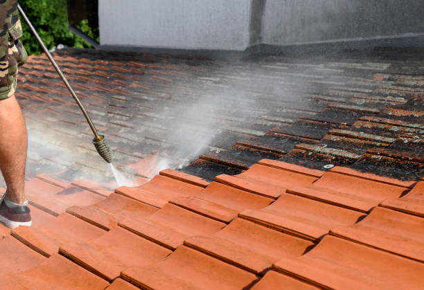 Best Commercial Pressure Washing  in Orange Beach, AL